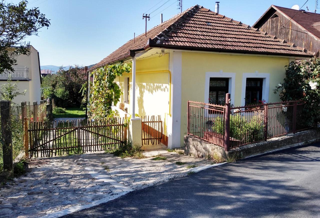 Lately Renovated Country House Trenčín Exterior foto