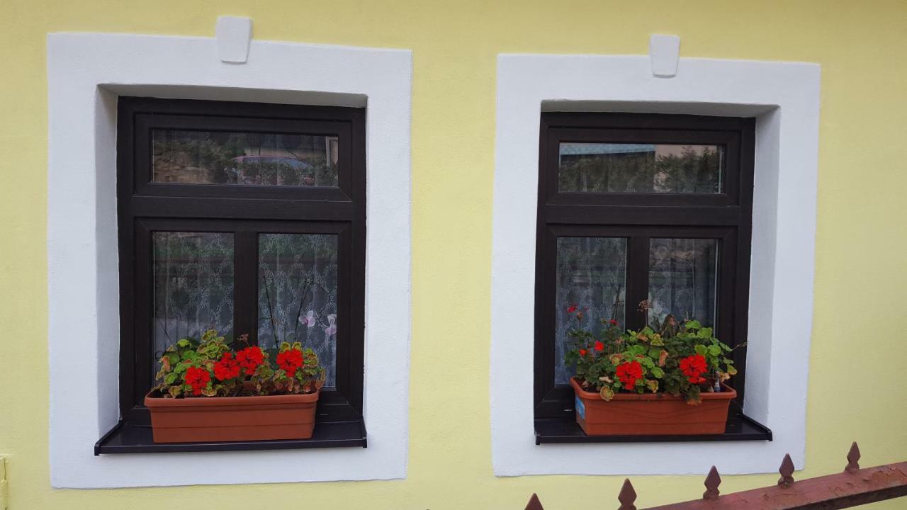 Lately Renovated Country House Trenčín Exterior foto